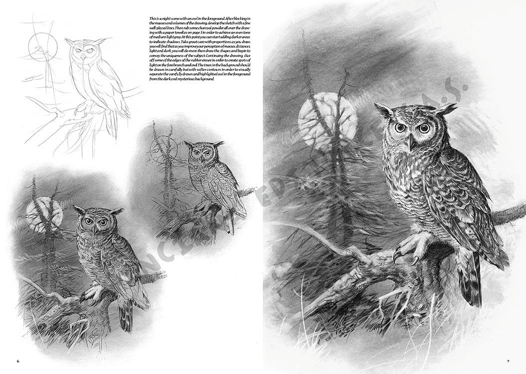 gallery-18514-for-109940