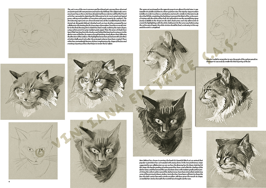 gallery-18546-for-109948