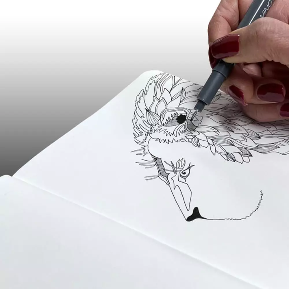 gallery-19618-for-117591