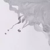 gallery-20878-for-106353