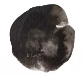 gallery-20902-for-106330