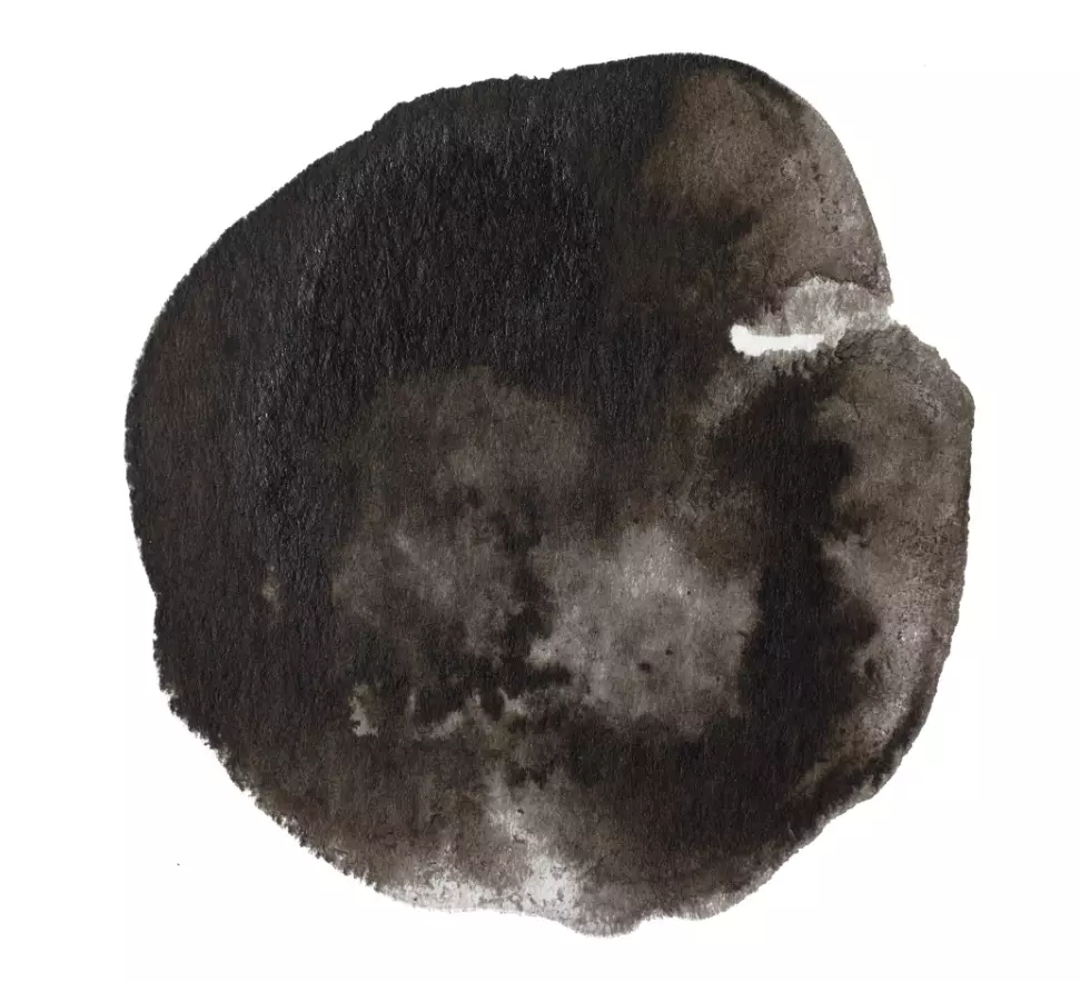 gallery-20902-for-106330