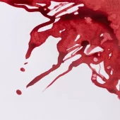 gallery-20905-for-106332