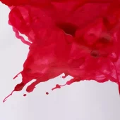 gallery-20917-for-106336