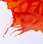 gallery-20936-for-106342