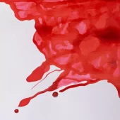 gallery-20943-for-106345