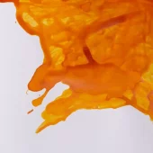 gallery-20946-for-106346