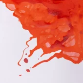 gallery-20951-for-106348