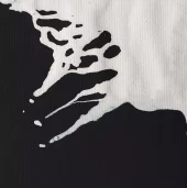 gallery-20957-for-106351