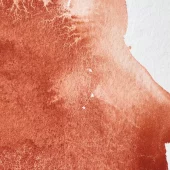 gallery-21424-for-102952