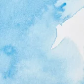 gallery-21426-for-102953