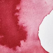 gallery-21462-for-102961