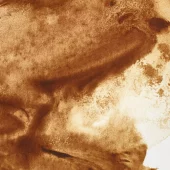 gallery-21491-for-102969