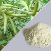 Guar Gum E412 500g