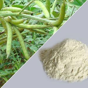 Guar Gum E412 500g