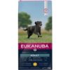 Eukanuba Adult L/XL Kylling 15 kg