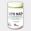 Liposomal NAD+ 544mg x 60 kapsler