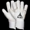 Select  Gk Gloves 93 Elite V21