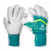 Select 04 Protection V26
