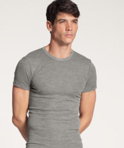 Calida T shirt wool silk - Grå