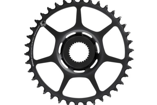 SRAM Chainring Direct Mount (Bosch) Singlespeed 38T