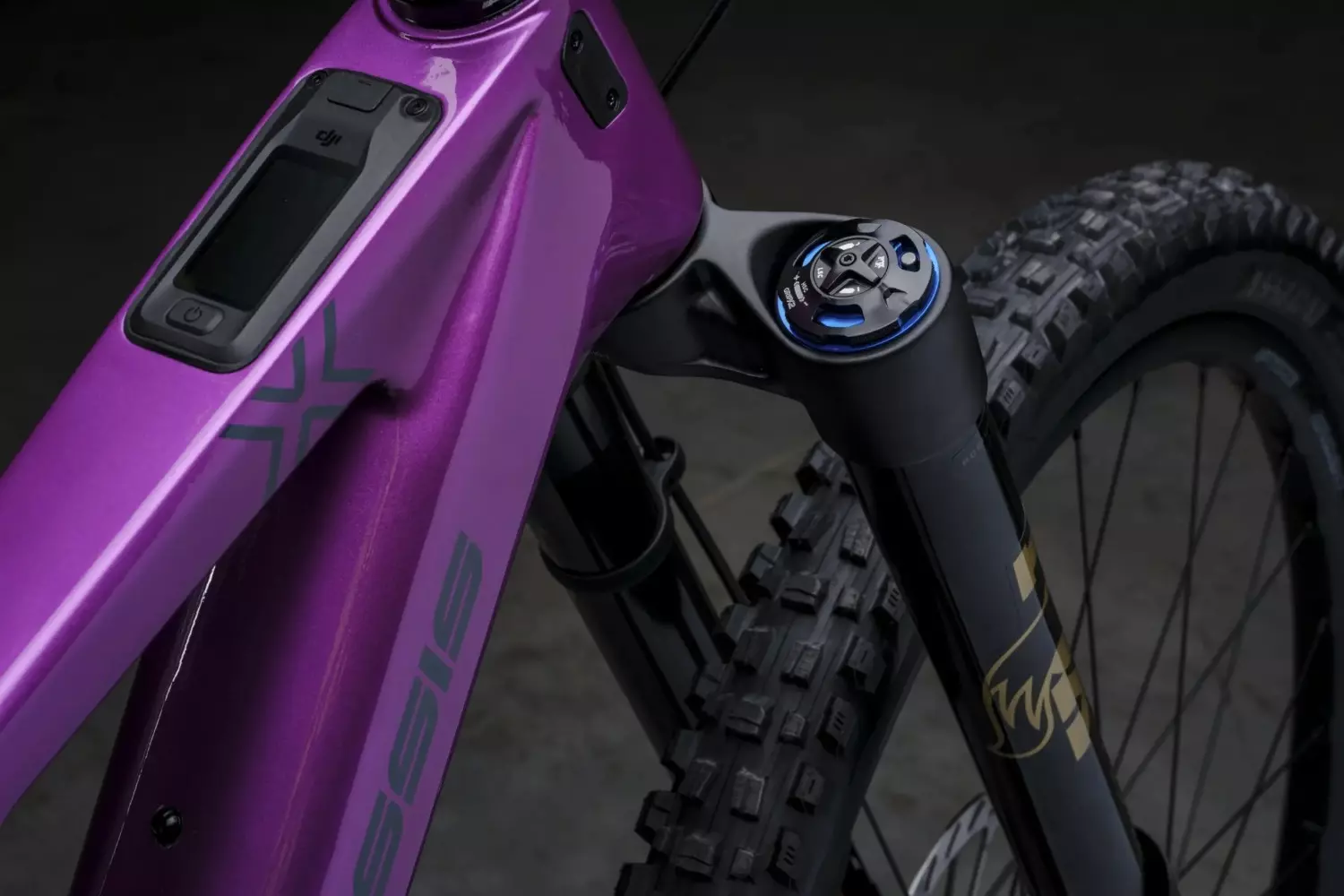 gallery-9919-for-3453