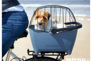 gallery-11374-for-02577