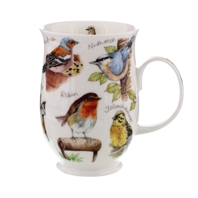 Suffolk birdlife robin