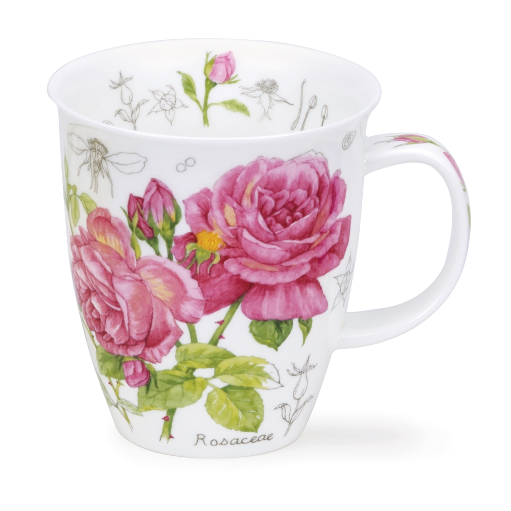 Nevis Floral sketch - pink - roses