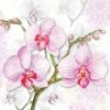 Lunsj servietter orchids lilac 33x33