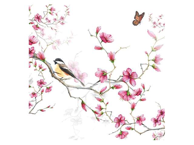 Kaffe serviett bird & blossom white