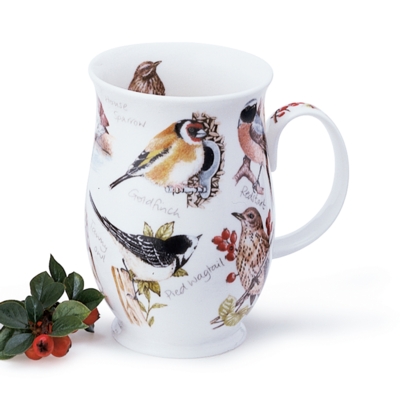 Suffolk Birdlife - Caffinch - Robin