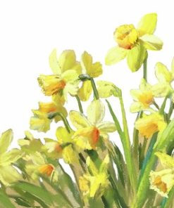 Kaffe servietter Golden Daffodils