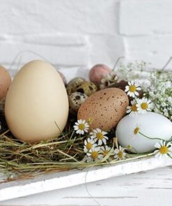 Lunsj servietter Pastel Eggs