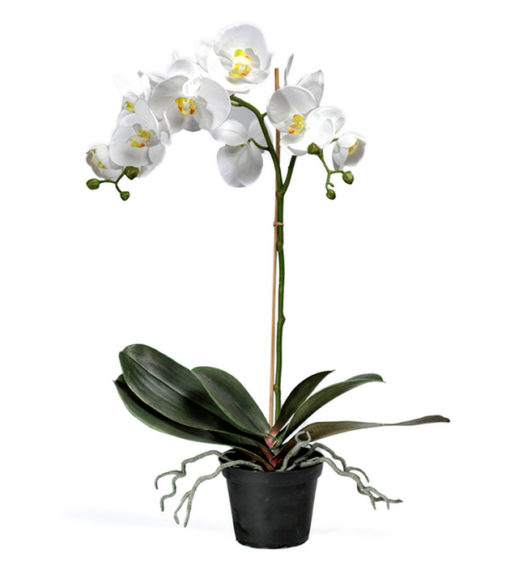Orkidé hvit 60cm
