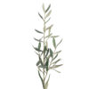 Oliven kvist 50cm