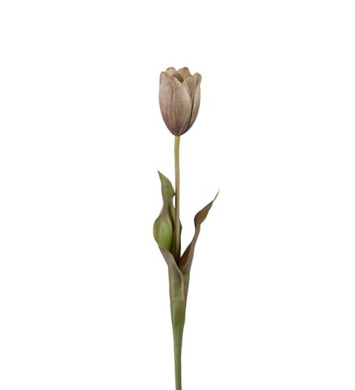 Tulipan grønn 58cm
