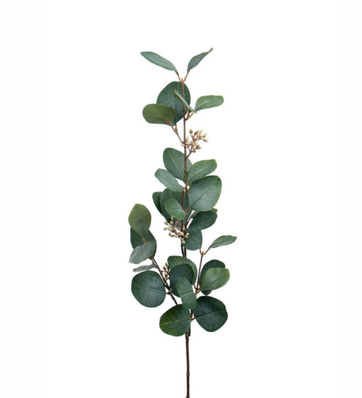 Eucalyptus med bær 70cm