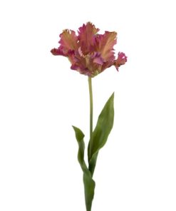Tulipan 70cm