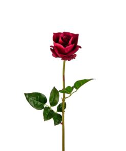 Rose 65cm