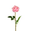 Rose rosa  65cm