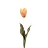 Tulipan orange 58cm