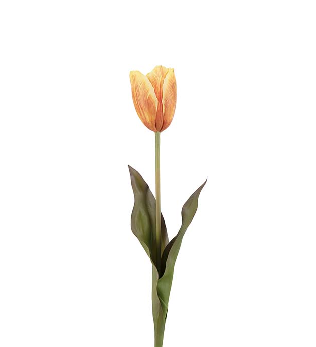 Tulipan orange 58cm