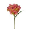Hortensia rosa 55cm