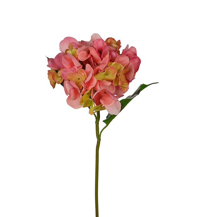 Hortensia rosa 55cm