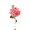 Dahlia rosa 70cm