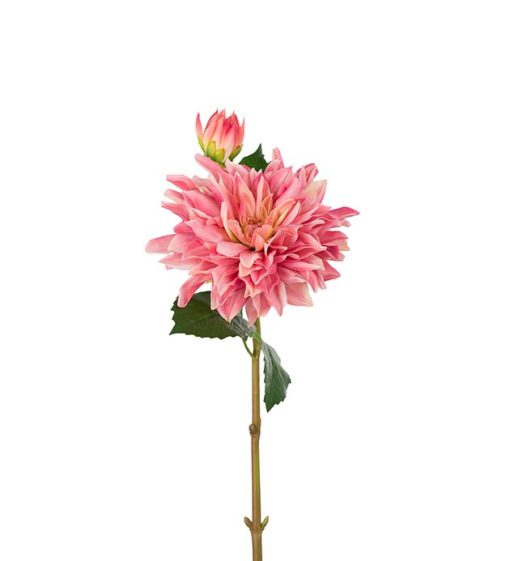 Dahlia rosa 70cm