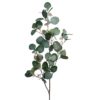 Eucalyptus med bær 100 cm