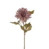 Chrysanthemum 60 cm