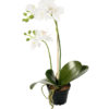 Orkidé  45 cm